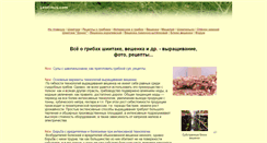 Desktop Screenshot of lentinus.com